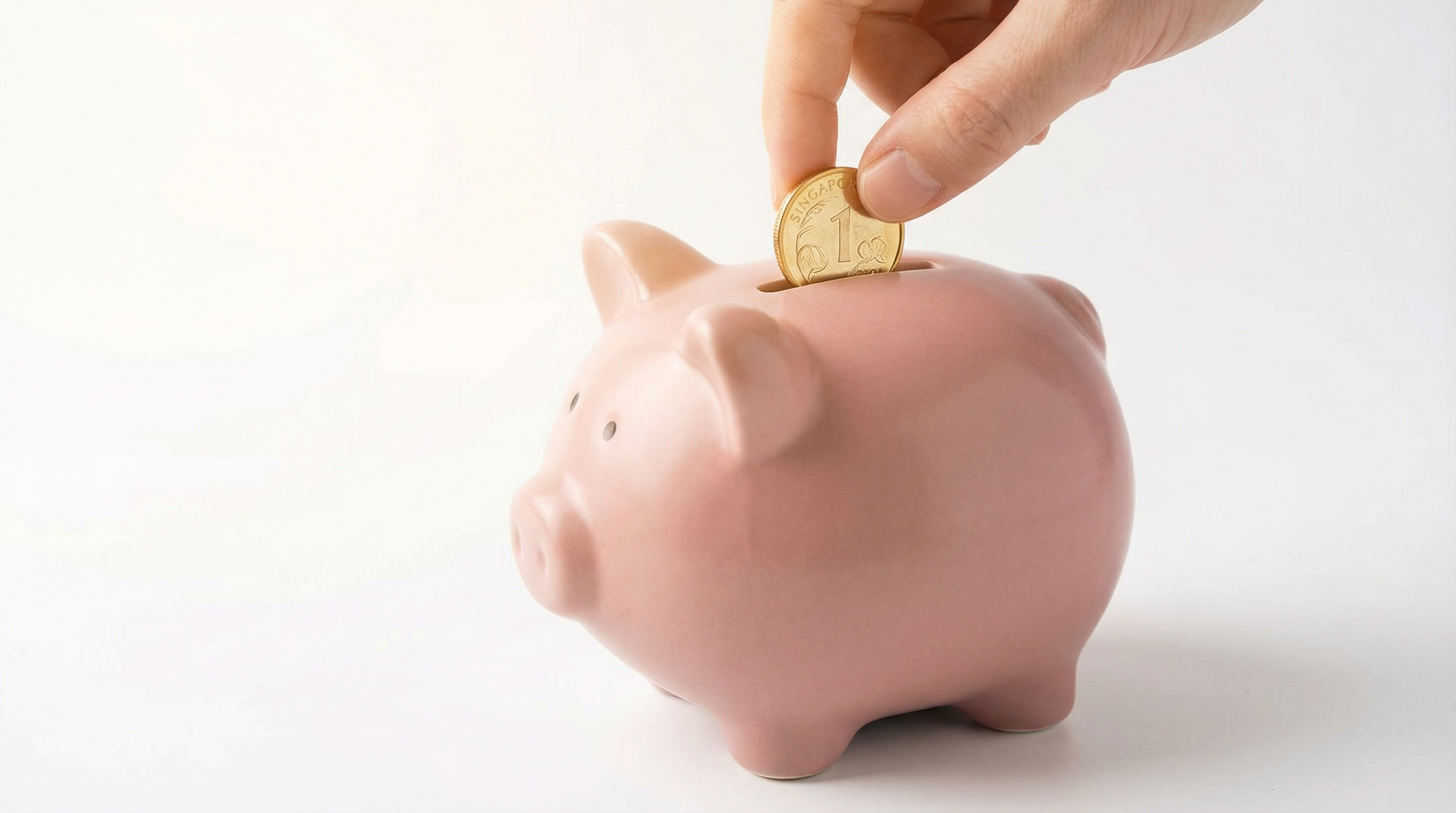 A piggy bank with coins being inserted